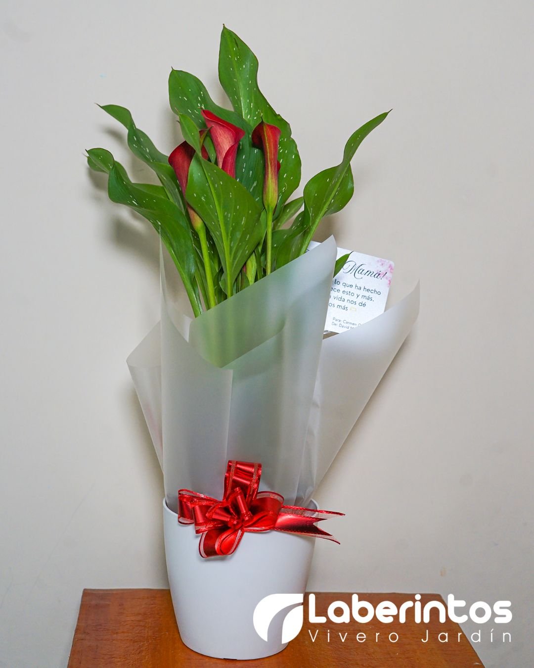 Cala o Cartucho rojo decorada para regalo con portamaceta